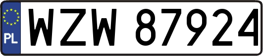WZW87924