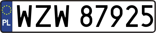 WZW87925