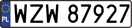 WZW87927