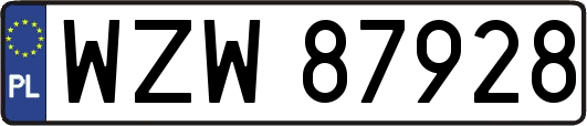 WZW87928