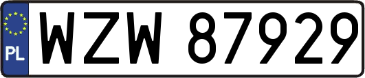 WZW87929