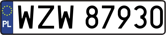 WZW87930