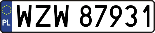 WZW87931