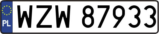 WZW87933