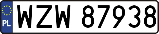 WZW87938