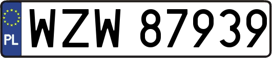 WZW87939