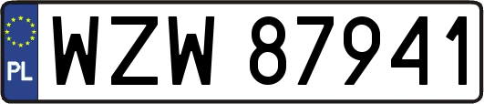WZW87941