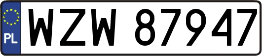 WZW87947
