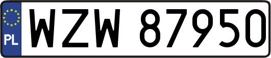 WZW87950