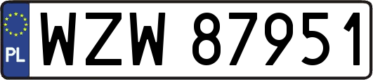 WZW87951