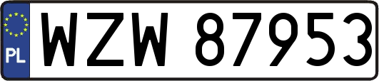 WZW87953