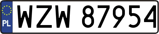 WZW87954