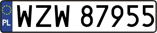 WZW87955