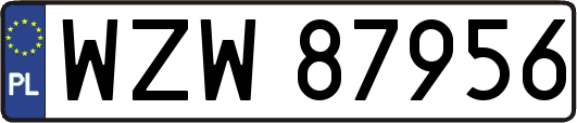 WZW87956