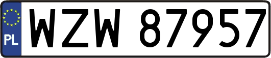 WZW87957