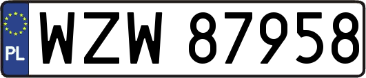 WZW87958