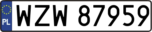 WZW87959