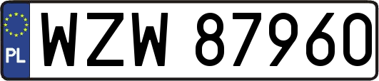 WZW87960