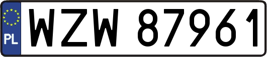 WZW87961