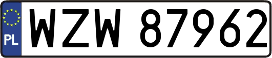 WZW87962
