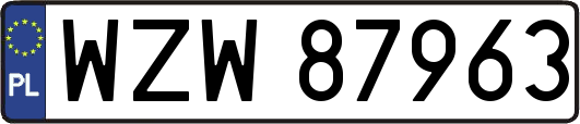 WZW87963