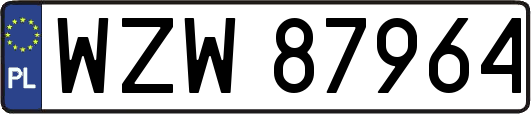 WZW87964