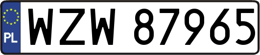 WZW87965