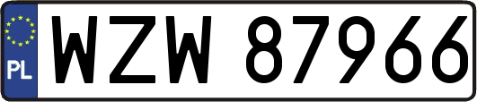 WZW87966