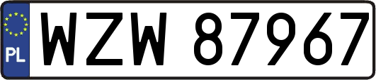WZW87967
