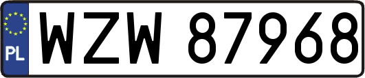 WZW87968