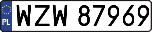 WZW87969