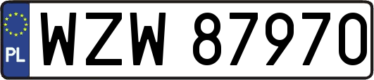 WZW87970