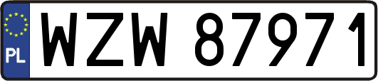 WZW87971