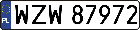 WZW87972