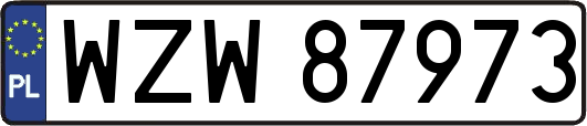 WZW87973