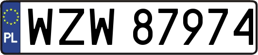 WZW87974
