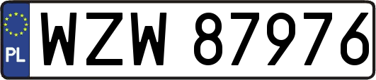 WZW87976