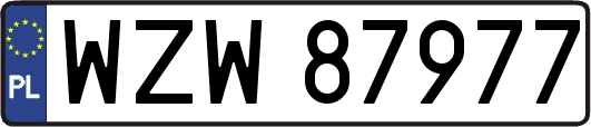 WZW87977