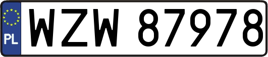 WZW87978