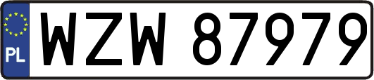 WZW87979