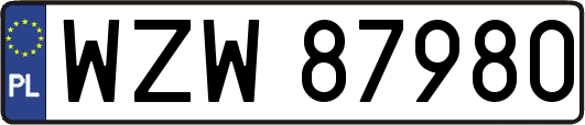 WZW87980