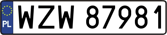 WZW87981