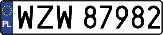 WZW87982