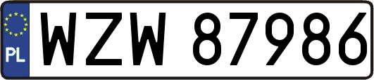 WZW87986