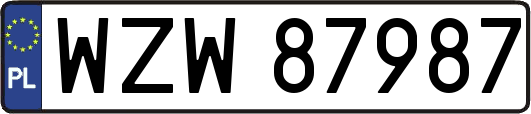 WZW87987