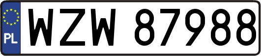 WZW87988