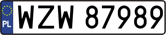 WZW87989