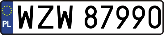 WZW87990