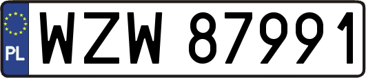 WZW87991