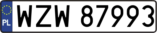 WZW87993